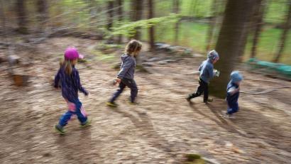 Symbolbild: Frank Rumpenhorst/dpa
Herumtoben im Wald wie es hier auf dem Symbolbild zu sehen ist - das könnte vielleicht auch bald im Zusammenhang mit einem Waldkindergarten in Leonberg oder Mitterteich möglich sein.