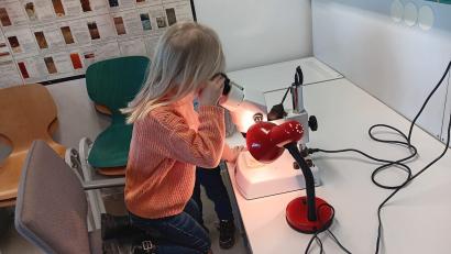 Bild: Marina Krisch/exb
Kinder erforschen die Steine im Geo-Zentrum Windischeschenbach.