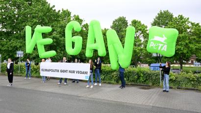 Symbolbild: Bernd Weißbrod
Die Tierschutzorganisation Peta bietet RTL Geld für ein veganes Dschungelcamp.