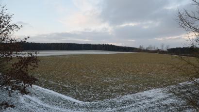 Bild: ak
Das Windkraftvorranggebiet Steinkreuz bei Zeulenreuth: Hier sollen auf gemeindlichen Flächen drei Windkraftanlagen entstehen.