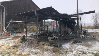 Bild: wro
In Schönfeld bei Wiesau ist am Mittwochvormittag ein Unterstand für Pferde abgebrannt.