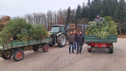 Bild: Ziegelmeier/exb
Rund 120 Bäume sammeln die Mitglieder des Obst- und Gartenbauvereins Wolfring in Freihöls, Wolfringmühle und Wolfring ein.