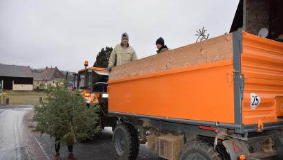 Bild: wku
Mit dem Traktor holten die Jugendlichen der Feuerwehr, hier in der Thorsteinstraße, die Christbäume ab.
