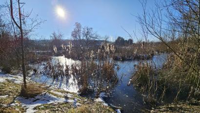 Bild: blm
Die Rosenbach-Aue erstrahlte am Wochenende in der Wintersonne.