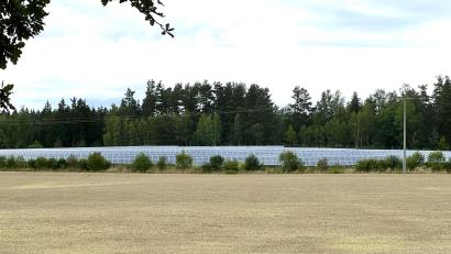 Archivbild: Eichl
Der Flossenbürger Solarpark vor den Toren der Gemeinde soll erweitert werden. Ein künftiger Nachbar der Anlage hat massive Einwände.