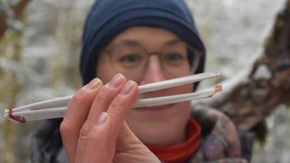 Bild: lue
Winzig klein sind die Bachforelleneier, die im Januar in der Waldnaab und im Frombach an speziellen Plätzen in Brutboxen reifen. Nur mit sauberen Instrumenten dürfen sie berührt werden, damit keine Infektionen in die Brutbox kommen.