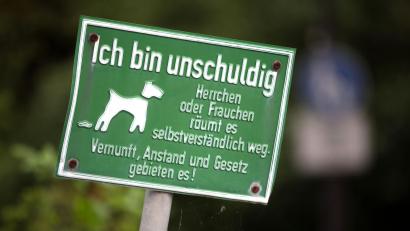 Symbolbild: Jens Büttner
Hundehalter in Südtirol müssen seit Jahresbeginn die DNA ihrer Tiere erfassen lassen.