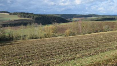 Bild: bnr
Etwas abgelegen und abseits jeder Bebauung soll am Rande des Geländeabschnitts "Am Hübel" im Ortsteil Schwarzberg eine neue PV-Freiflächenanlage entstehen. Das Areal hat eine Größe von fünf Hektar.
