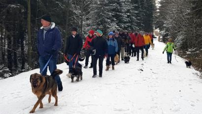 Bild: gis
Winterwandertag Ochsenkopf: Der Fichtelgebirgsverein Mehlmeisel bot wieder eine Hundewanderung an.