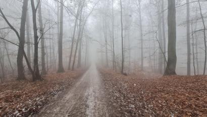 Bild: .Martin Seits, Stadt Amberg/exb
Winterlicher Weg am Mariahilfberg im Januar. Im Wald steht ein Holzeinschlag an. Das städtische Forstamt weist Spaziergänger und Sportler darauf hin.