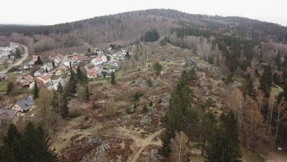 Archivbild: mmj
Vereinzelt sollen beim Hochfels wieder Bäume entfernt werden um den Lichteinfall für den Bodenbewuschs weiter zu fördern.