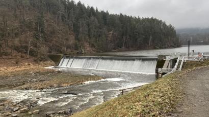 Bild: sns
So sieht die 1987 errichtete Vorsperre des Eixendorfer Stausees in Höhe des „Salzfriedlhofs“ aus. Den Schlamm, der sich hier abgelagert hat, macht der Stadtrat mitverantwortlich für eine drohende Algenblüte.