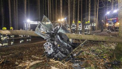 Bild: Daniel Scharinger/APA/dpa
Feuerwehrleute betrachten das Auto im österreichischen Aurolzmünster, das in einen liegenden Baumstamm krachte.