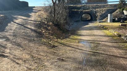 Bild: sns
Dieser abschüssige Weg steht beim Neunburger Seniorenbeirat in der Kritik. Rechts der Wanderweg Richtung Bodenwöhr und links die Auffahrt bzw. Abfahrt nach Penting und Wutzelskühn.