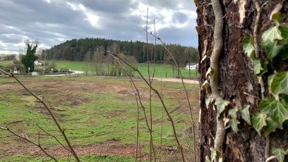 Archivbild: Gabi Schönberger
Das geplante Wohnbaugebiet "Horbach" hat die Stadt Weiden noch nicht abgeschrieben. Im Entwurf des Flächennutzungsplan steht es drin.