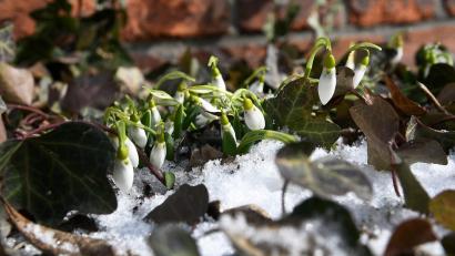 Bild: Petra Hartl
Schon fast ist der Frühling in Sicht - nur der Wind ist noch winterlich.