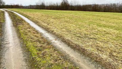 Bild: Gabi Schönberger
Auf dieser Wiese oberhalb des Breiten Wegs in Neustadt will die Zeno GmbH einen Solarpark auf 3,5 Hektar errichten. Auch auf dem benachbarten Feld stehen bereits Solarpaneele.