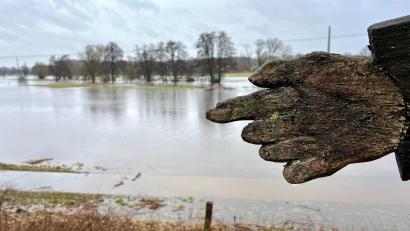 Bild: Gabi Schönberger
Hochwasser bei Neustadt/WN.
