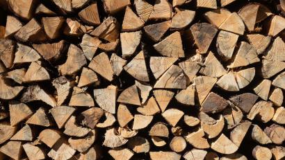 Symbolbild: Nicolas Armer/dpa
Auf bereits gespaltenes Holz hatte es ein Unbekannter bei Mähring abgesehen.