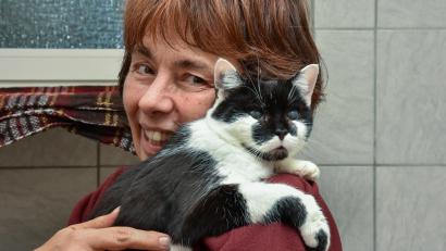 Bild: Stephan Huber
Katzen, die ins Tierheim kommen, sind selten kerngesund. Oft haben sie Parasiten oder Katzenschnupfen, manchmal bleiben Schäden zurück. Tierschützer fordern deswegen eine Kastrationspflicht. Auch Ingrid Mallmann würde diese befürworten.