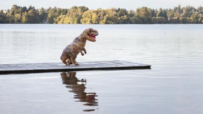 Symbolbild: Paul Christian Gordon
Rabiat wurde ein als Dinosaurier verkleideter Mann in Ursensollen.