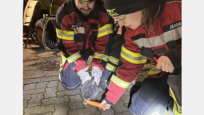 Bild: egl
Karotte statt Schlauch: Die Feuerwehr Haselmühl hatte am Freitagabend einen ungewöhnlichen Einsatz.