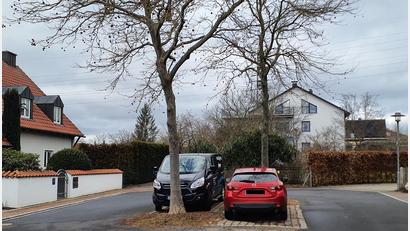 Bild: Alexander Greiner/exb
Im Bereich der Benzstraße und ihrer Nachbarstraßen will die Gemeinde Kümmersbruck Bäume entfernen.