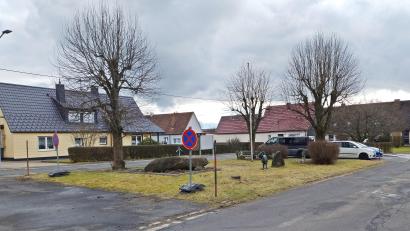 Bild: ld
Diese drei Bäume werden nach Beschluss des Gemeinderats gerodet. Vier neue werden gepflanzt, ein weiterer hinter den geparkten Autos am südlichen Ende.