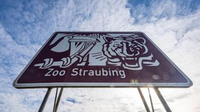 Bild: Armin Weigel/dpa
"Zoo Straubing" steht auf einem Hinweisschild an der Autobahn A3. Der Straubinger Stadtrat lehnte am 19. Februar die Erneuerung der Tiergarten-Werbeschilder entlang der A3 ab.