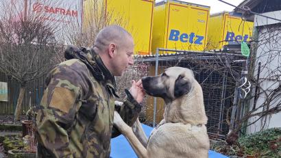 Bild: Sigmund Gilch/exb
Kangal-Hündin "Jenny" und ihr neues Herrchen.
