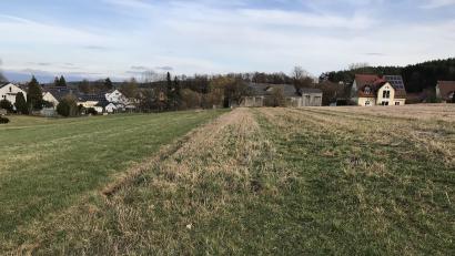 Bild: mma
Der Bereich Zierlohe bei Seugast wird zum Baugebiet ausgewiesen.