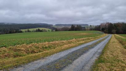 Bild: kaz
Als Standort ist eine Fläche zwischen dem Zeidlweidweg und dem Fichtelnaabradweg, nördlich der Rohrmühle, vorgesehen.