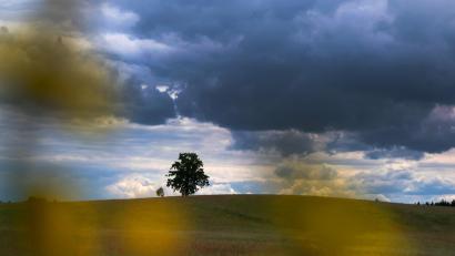 Bild: Stephan Jansen
Sturmböen und schwere Sturmböen ziehen am Donnerstag über die Oberpfalz.