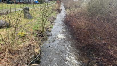Bild: nza
Bei der Renaturierung werden unter anderem der Gewässerlauf des Grenzbachs und die Bepflanzung neugestaltet. Dadurch soll der Grenzbach am Erlenweiher ökologisch aufgewertet werden.
