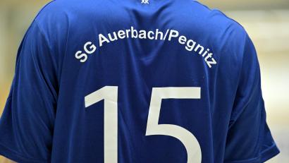 Symbolbild: Hubert Ziegler
Die SG Auerbach/Pegnitz unterlag in der Handball-Landesliga dem TSV Roßtal.