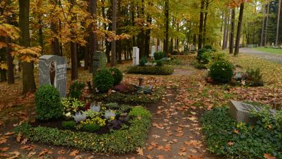Symbolbild: Hartl
Auf dem Waldfriedhof in Weiden wurden Blumen von mehreren Gräbern herausgerissen. Die Polizei ermittelt.