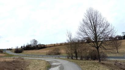 Bild: Eichl
An der Störnsteiner Spange, der Umgehungsstraße zwischen Störnstein und Neustadt/WN, soll einer von zwei Solarparks entstehen.