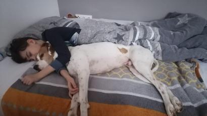 Bild: Simone Ott/exb
Nach einer Infektion mit Corona ist der neunjährige Tristan aus Waldeck an ME/CFS erkrankt. Er ist dauerhaft erschöpft, ist extrem geräusch- und lichtempfindlich. Für etwas Abwechslung sorgt Hund “Firu”.