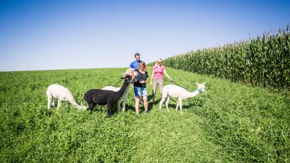 Symbolbild: Thomas Kujat/exb
Familie Schafbauer bietet auf ihrem Simmernhof in Thanstein Alpakawanderungen für ihre Gäste an.