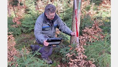 Bild: wel
Förster Hubert Amode begutachtet bei der Auftaktversammlung zum Vegetationsgutachten eine Waldverjüngung.