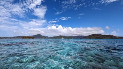 Bild: Francoise Hauser/dpa
Pures Pazifik-Idyll: Französisch-Polynesien ist geprägt vom Ozean.