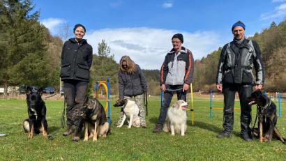 Bild: glb
Hundebesitzer aus Weigendorf treffen sich wöchentlich zu einer Trainingsstunde.
