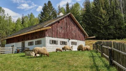 Bild: Florian Trykowski/exb
Ab Samstag, 16. März, ist das Freilandmuseum Oberpfalz wieder geöffnet.