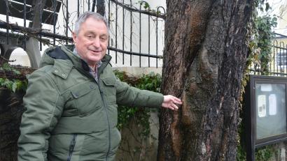 Bild: jr
Edgar Wenisch neben einem alten Kastanienbaum am Therese-Neumann-Platz in Konnersreuth. Der Druck dieses nach vorne hängenden Baumes sei gewaltig, betont Wenisch. Bäume entwickeln seinen Angaben zufolge eine Art „Muskeln“, um dem Druck standzuhalten.
