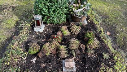Bild: Harald Müller/exb
Vermeintliche Vandalen auf dem Waldfriedhof in Weiden entpuppen sich laut Polizei als Tiere auf Nahrungssuche.