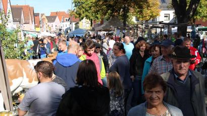 Archivbild: prh
Kaum ein Durchkommen zwischen den Ständen der knapp 70 Aussteller war 2019 beim letzten Bauernmarkt vor der Corona-Pandemie in der Freyung in Neustadt möglich.