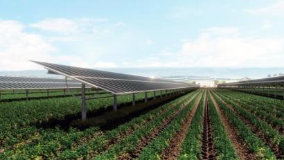 Bild : Stadt Nabburg/exb
Das Bild zeigt eine Agri-PV-Anlage. Durch die aufgeständerte Bauweise ist darunter weiterhin eine landwirtschaftliche