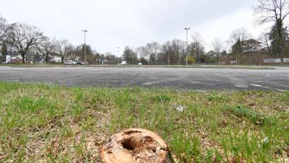 Bild: Petra Hartl
Am Hockermühlparkplatz in Amberg wurden fast alle Bäume gefällt. Das hängt mit dem Bau einer Photovoltaikanlage zusammen.
