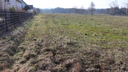 Bild: gru
Auf dieser Fläche in Edelsfeld entsteht das allgemeine Wohngebiet „Nordwestlicher Ortsrand“ mit einer Größe von etwa 1,84 Hektar. Der Gemeinderat machte nach Änderungen des Bebauungsplans den Weg dafür im Rathaus frei.
