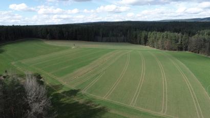 Bild: bey
In der durch farbliche Nuancen zu unterscheidenden zweiten Grünfläche von links soll die Anlage bis zum Waldrand entstehen.